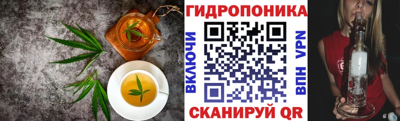 blacksprut зеркало  Нефтегорск  Печенье с ТГК марихуана 